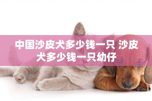 中國沙皮犬多少錢一只 沙皮犬多少錢一只幼仔