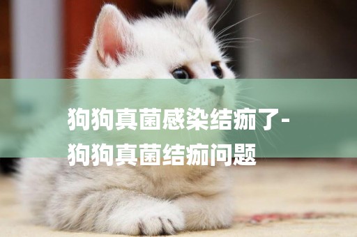 狗狗真菌感染結痂了-
狗狗真菌結痂問題