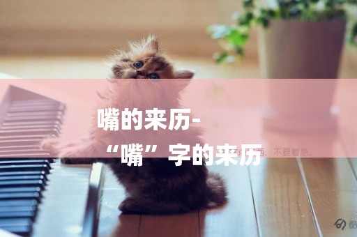 嘴的來歷-
“嘴”字的來歷