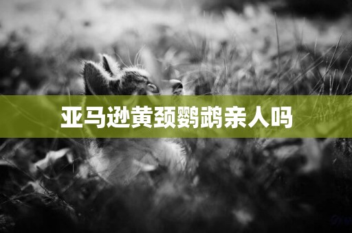 亞馬遜黃頸鸚鵡親人嗎