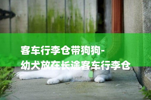 客車行李倉帶狗狗-
幼犬放在長途客車行李倉