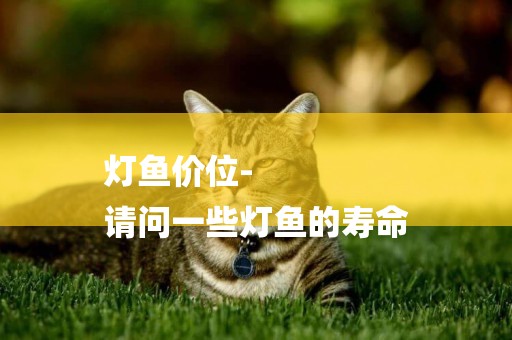 燈魚價位-
請問一些燈魚的壽命