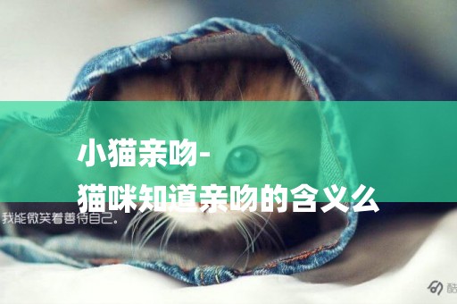 小貓親吻-
貓咪知道親吻的含義么