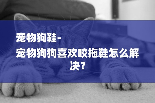 寵物狗鞋-
寵物狗狗喜歡咬拖鞋怎么解決？