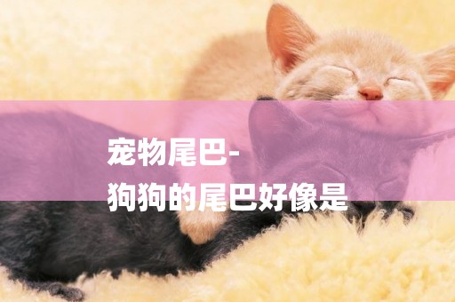寵物尾巴-
狗狗的尾巴好像是