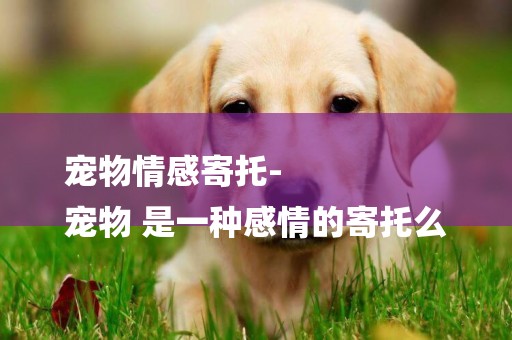 寵物情感寄托-
寵物 是一種感情的寄托么