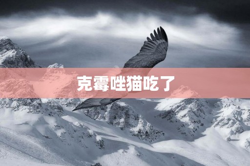 克霉唑貓吃了