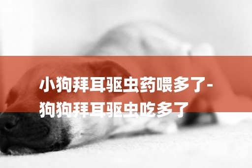 小狗拜耳驅蟲藥喂多了-
狗狗拜耳驅蟲吃多了