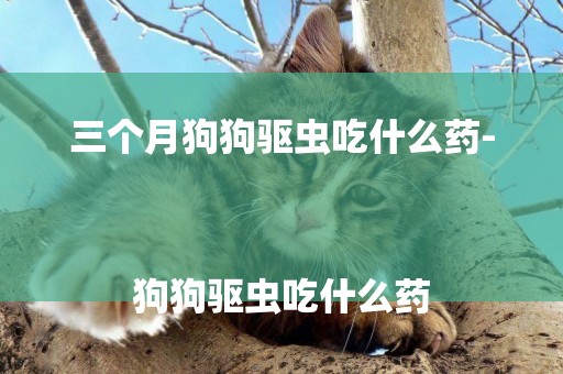 三個月狗狗驅蟲吃什么藥-
狗狗驅蟲吃什么藥