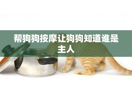 幫狗狗按摩讓狗狗知道誰是主人