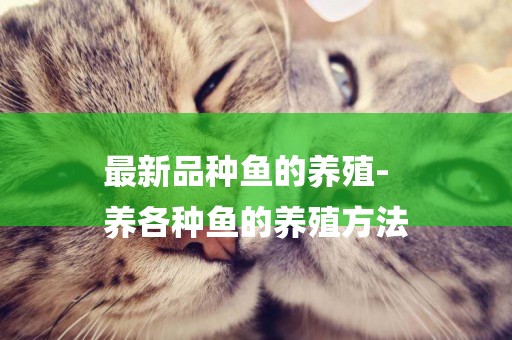 最新品種魚的養殖-
養各種魚的養殖方法