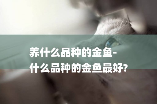 養什么品種的金魚-
什么品種的金魚最好?