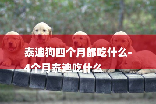 泰迪狗四個月都吃什么-
4個月泰迪吃什么