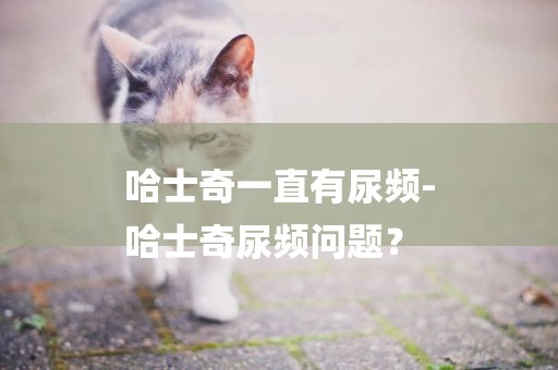 哈士奇一直有尿頻-
哈士奇尿頻問題？