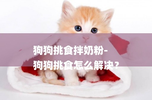 狗狗挑食拌奶粉-
狗狗挑食怎么解決？