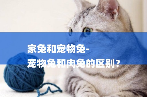 家兔和寵物兔-
寵物兔和肉兔的區別？
