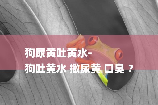 狗尿黃吐黃水-
狗吐黃水 撒尿黃 口臭 ？