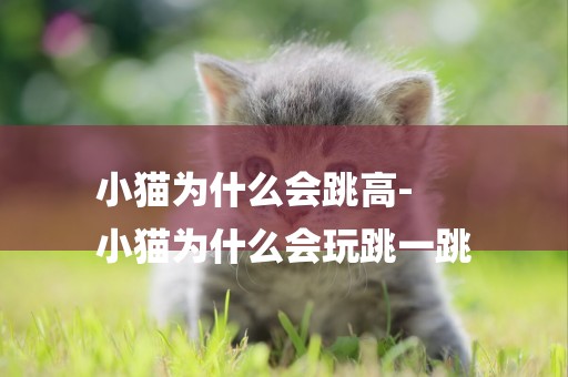 小貓為什么會跳高-
小貓為什么會玩跳一跳
