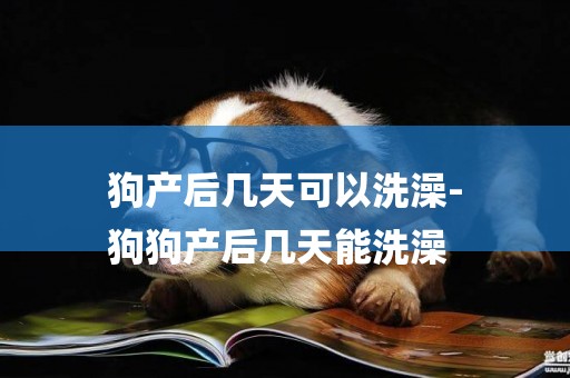 狗產后幾天可以洗澡-
狗狗產后幾天能洗澡