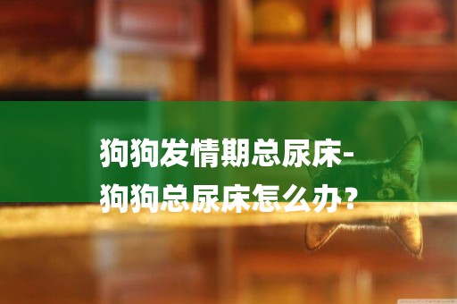 狗狗發情期總尿床-
狗狗總尿床怎么辦？