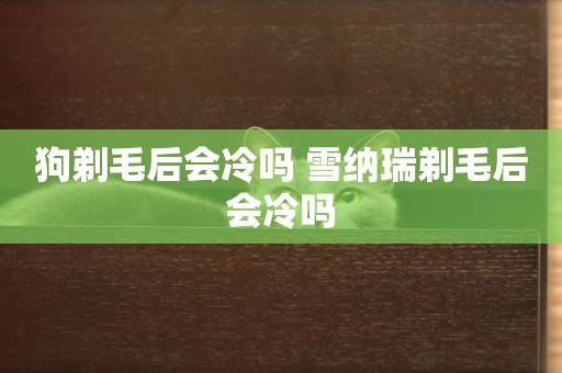 狗剃毛后會冷嗎 雪納瑞剃毛后會冷嗎