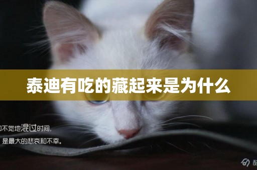 泰迪有吃的藏起來是為什么