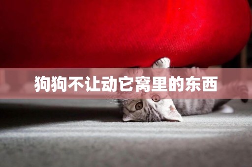 狗狗不讓動它窩里的東西