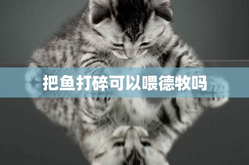 把魚打碎可以喂德牧嗎