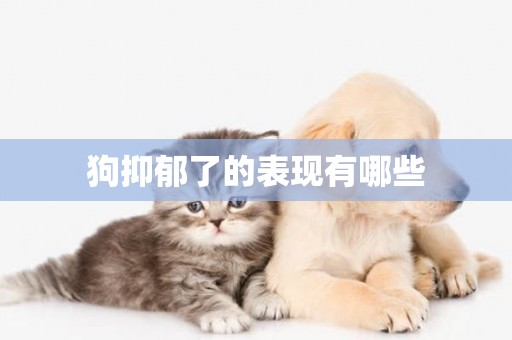 狗抑郁了的表現有哪些