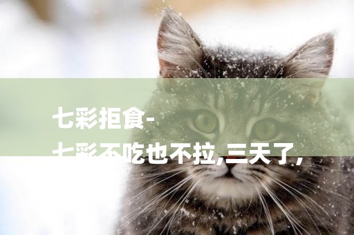 七彩拒食-
七彩不吃也不拉,三天了,
