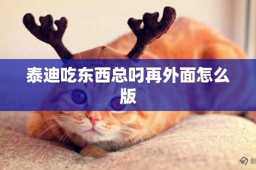 泰迪吃東西總叼再外面怎么版