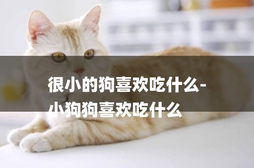 很小的狗喜歡吃什么-
小狗狗喜歡吃什么
