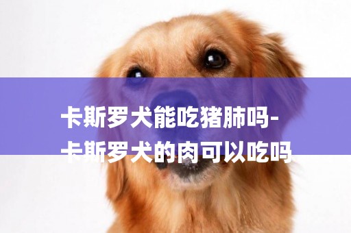 卡斯羅犬能吃豬肺嗎-
卡斯羅犬的肉可以吃嗎