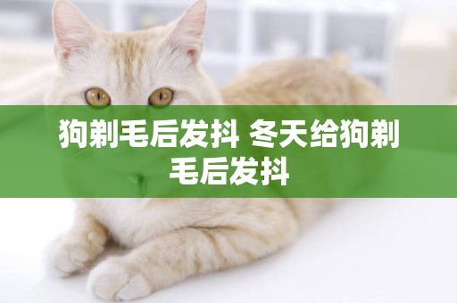 狗剃毛后發抖 冬天給狗剃毛后發抖