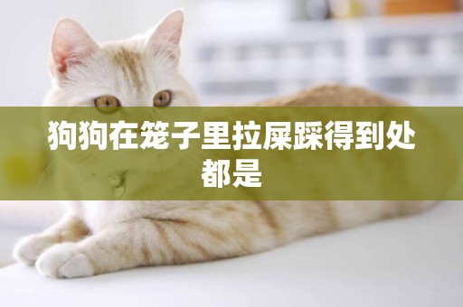 狗狗在籠子里拉屎踩得到處都是