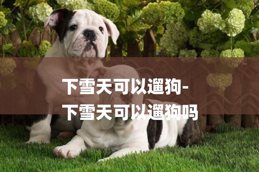 下雪天可以遛狗-
下雪天可以遛狗嗎