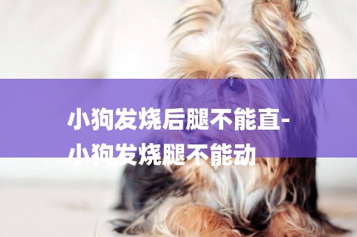 小狗發燒后腿不能直-
小狗發燒腿不能動
