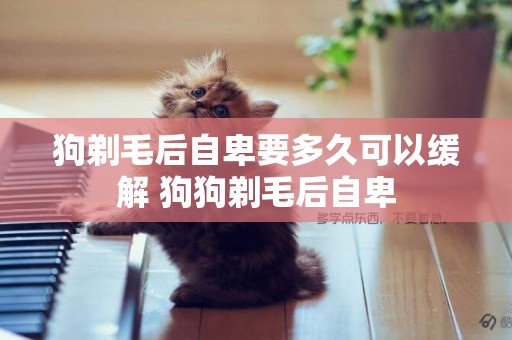 狗剃毛后自卑要多久可以緩解 狗狗剃毛后自卑