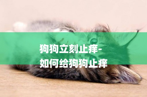 狗狗立刻止癢-
如何給狗狗止癢