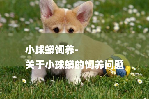 小球蟒飼養-
關于小球蟒的飼養問題