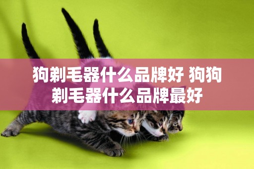 狗剃毛器什么品牌好 狗狗剃毛器什么品牌最好