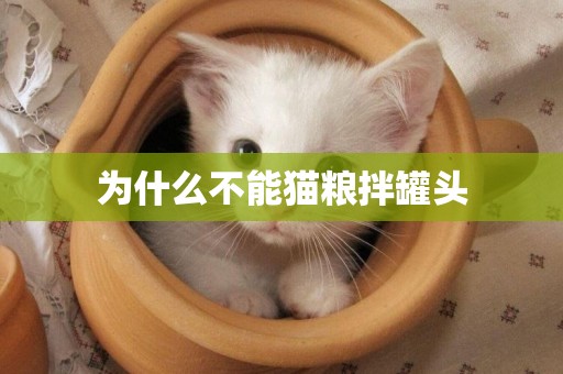 為什么不能貓糧拌罐頭