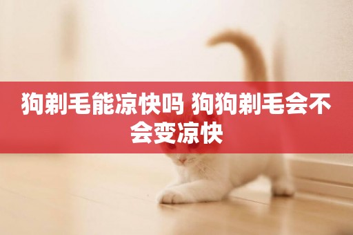 狗剃毛能涼快嗎 狗狗剃毛會不會變涼快