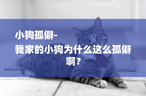 小狗孤僻-
我家的小狗為什么這么孤僻啊？