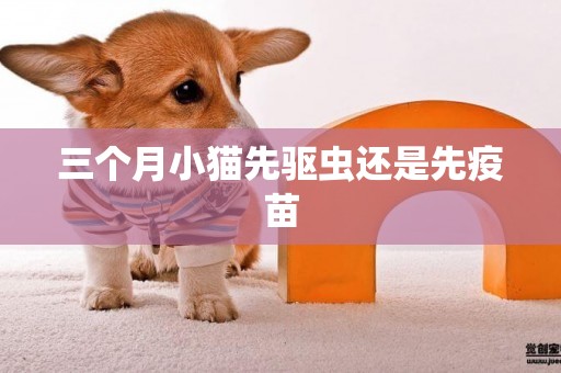 三個月小貓先驅蟲還是先疫苗