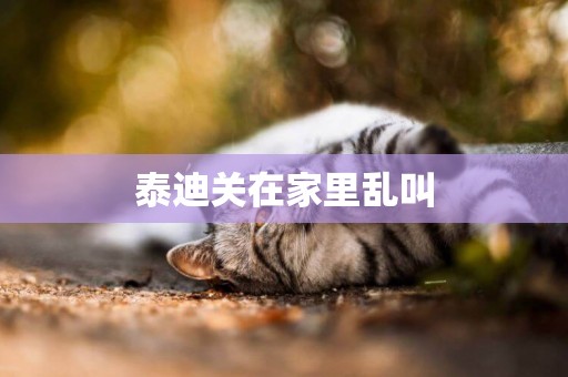 泰迪關在家里亂叫