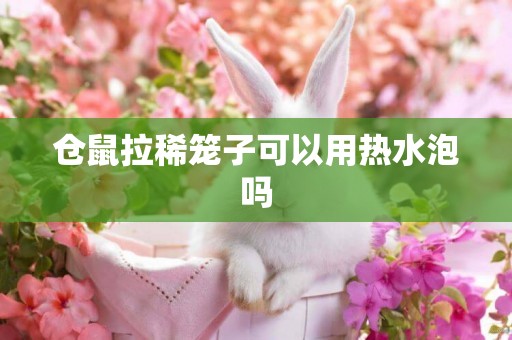 倉鼠拉稀籠子可以用熱水泡嗎