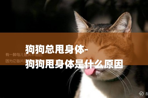 狗狗總甩身體-
狗狗甩身體是什么原因
