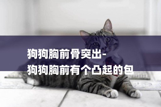 狗狗胸前骨突出-
狗狗胸前有個凸起的包
