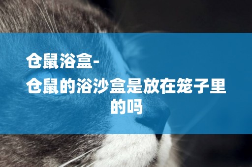 倉鼠浴盒-
倉鼠的浴沙盒是放在籠子里的嗎